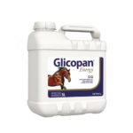 Glicopan Energy 5L Vetnil