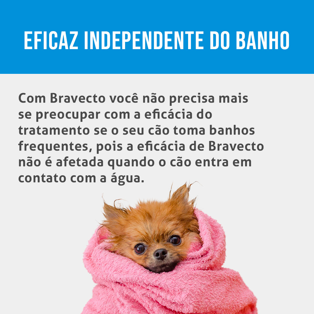 Antipulgas e Carrapatos Bravecto para Cães de 2 a 4,5 kg – 112,5 mg MSD