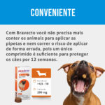 Antipulgas e Carrapatos Bravecto para Cães > 4,5-10kg 250mg MSD