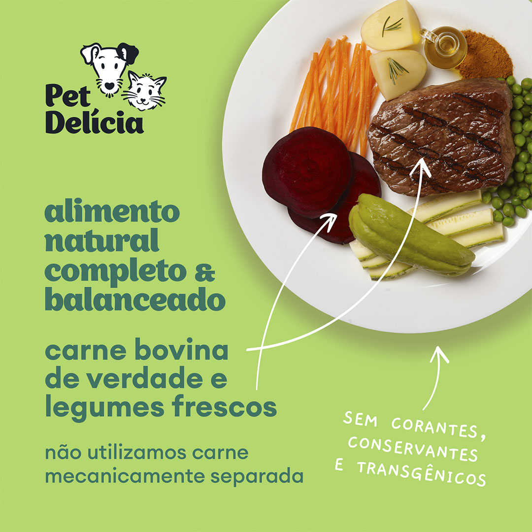 Ração Pet Delícia Lata para Cães Adultos Caçarolinha de Carne 320g