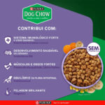 Ração Dog Chow Extra Life para Cães Filhotes de Raças Mini e Pequenas Sabor Carne, Frango, Frutas e Leite 10,1Kg