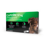 Capstar 57mg 1 Comprimido para Cães de 11,5 a 57Kg Elanco