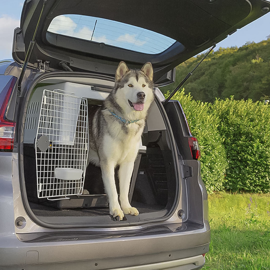 Caixa de Transporte Atlas 70 para Cães Ferplast