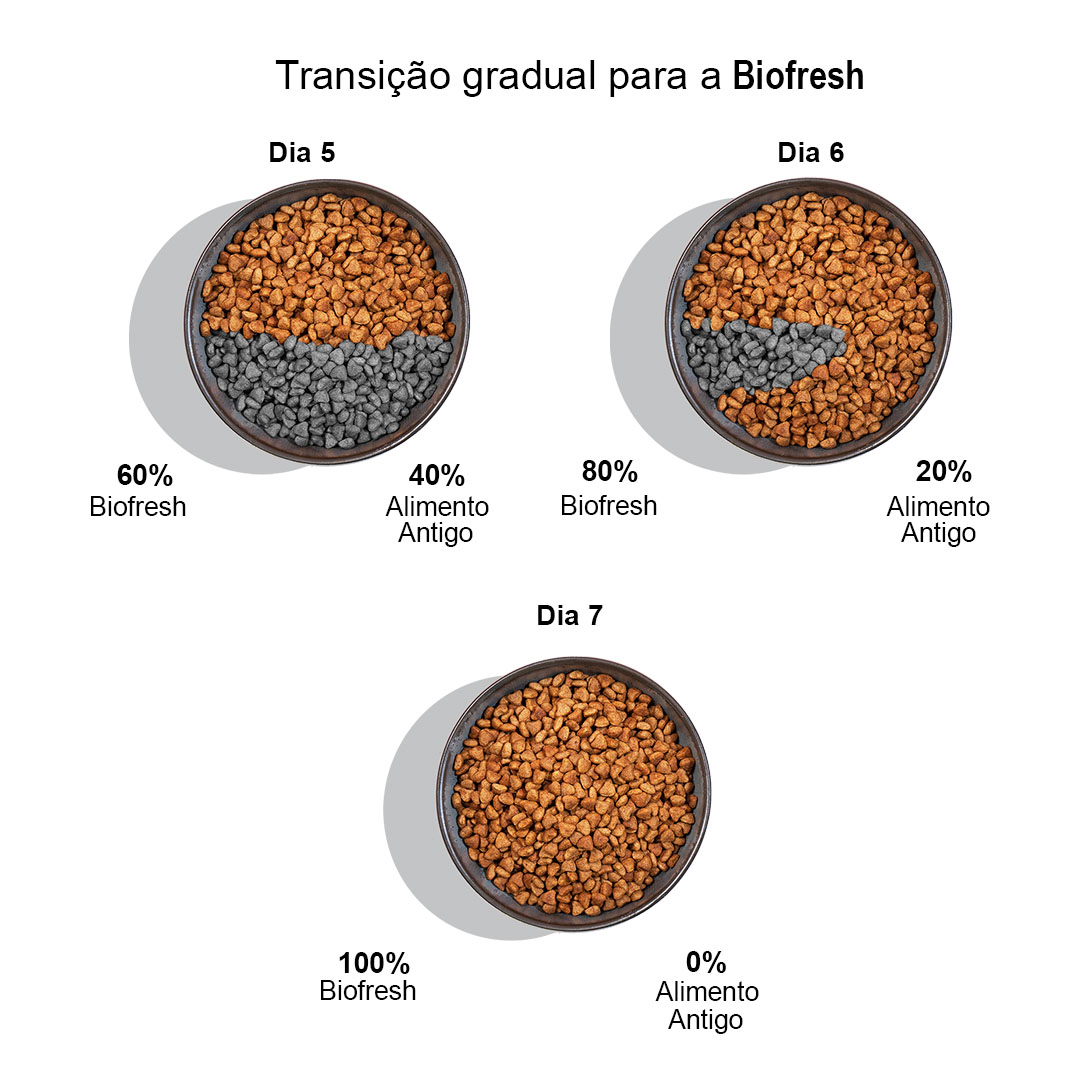 Ração Biofresh Sabores para Cães Adultos de Raças Mini e Pequenas Sabor Frango, Maçã, Arroz Integral e Ervas 1Kg