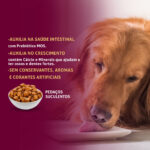 Ração Úmida GranPlus Gourmet para Cães Filhotes 100g Sabor Frango