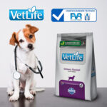 Ração Farmina Vet Life Urinary Ossalati para Cães Adultos 10,1Kg