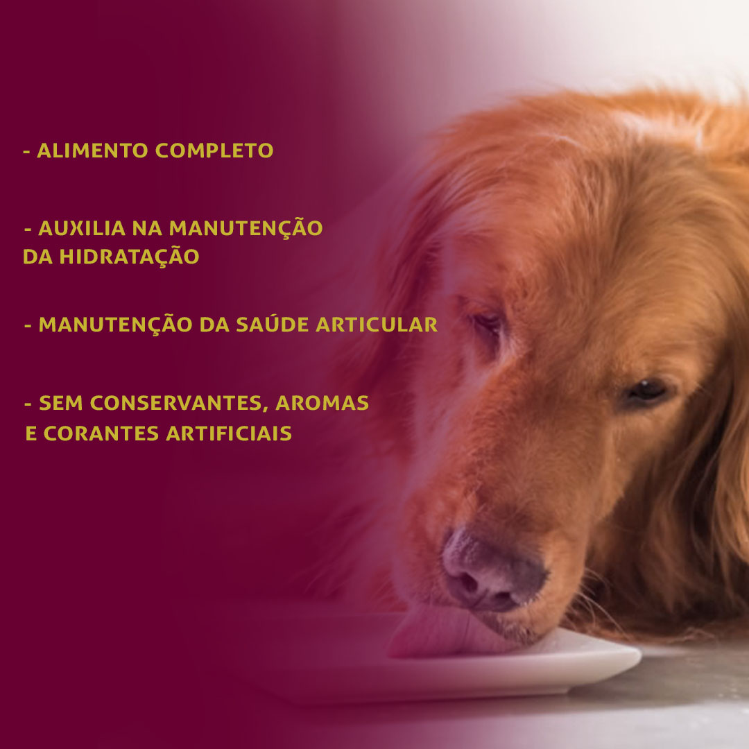 Ração Úmida GranPlus Gourmet Patê para Cães Adultos Sabor Ovelha 300g