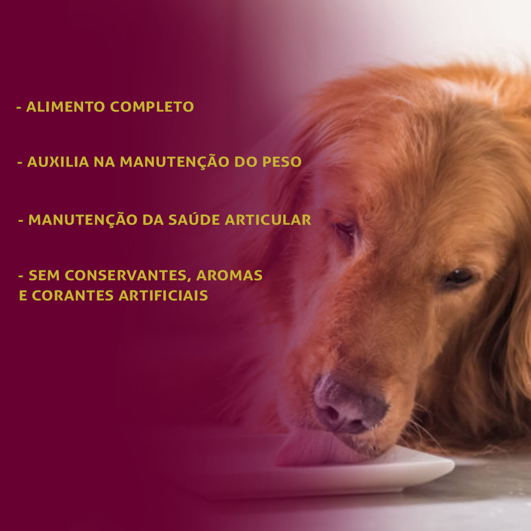 Ração Úmida GranPlus Gourmet Patê para Cães Sênior Sabor Frango 300g