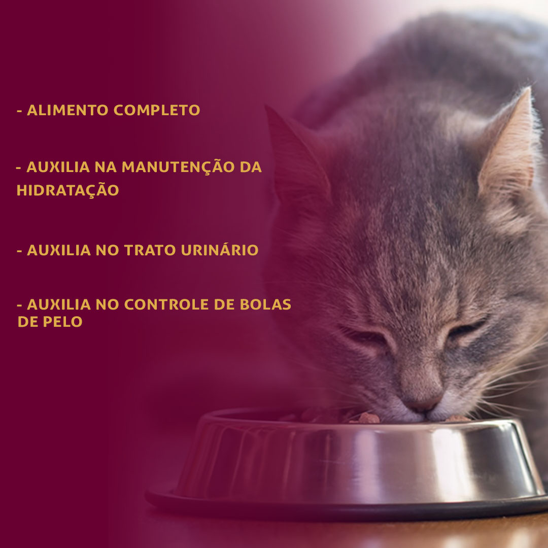 Ração Úmida GranPlus Gourmet Patê para Gatos Adultos Sabor Carne 100g