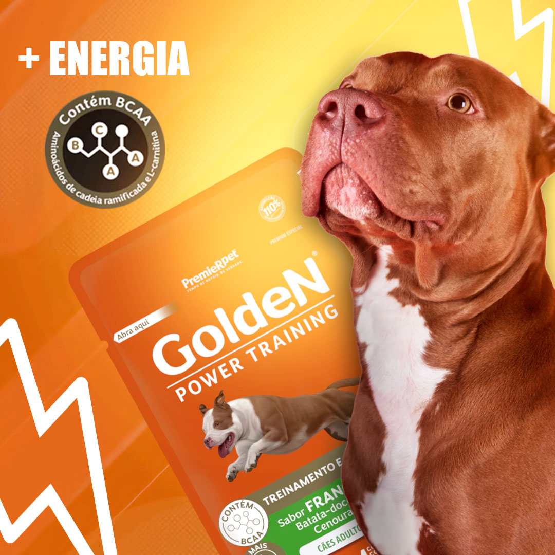 Golden Gourmet Power Training para Cães Adultos Sabor Frango, Batata Doce e Cenoura 85g