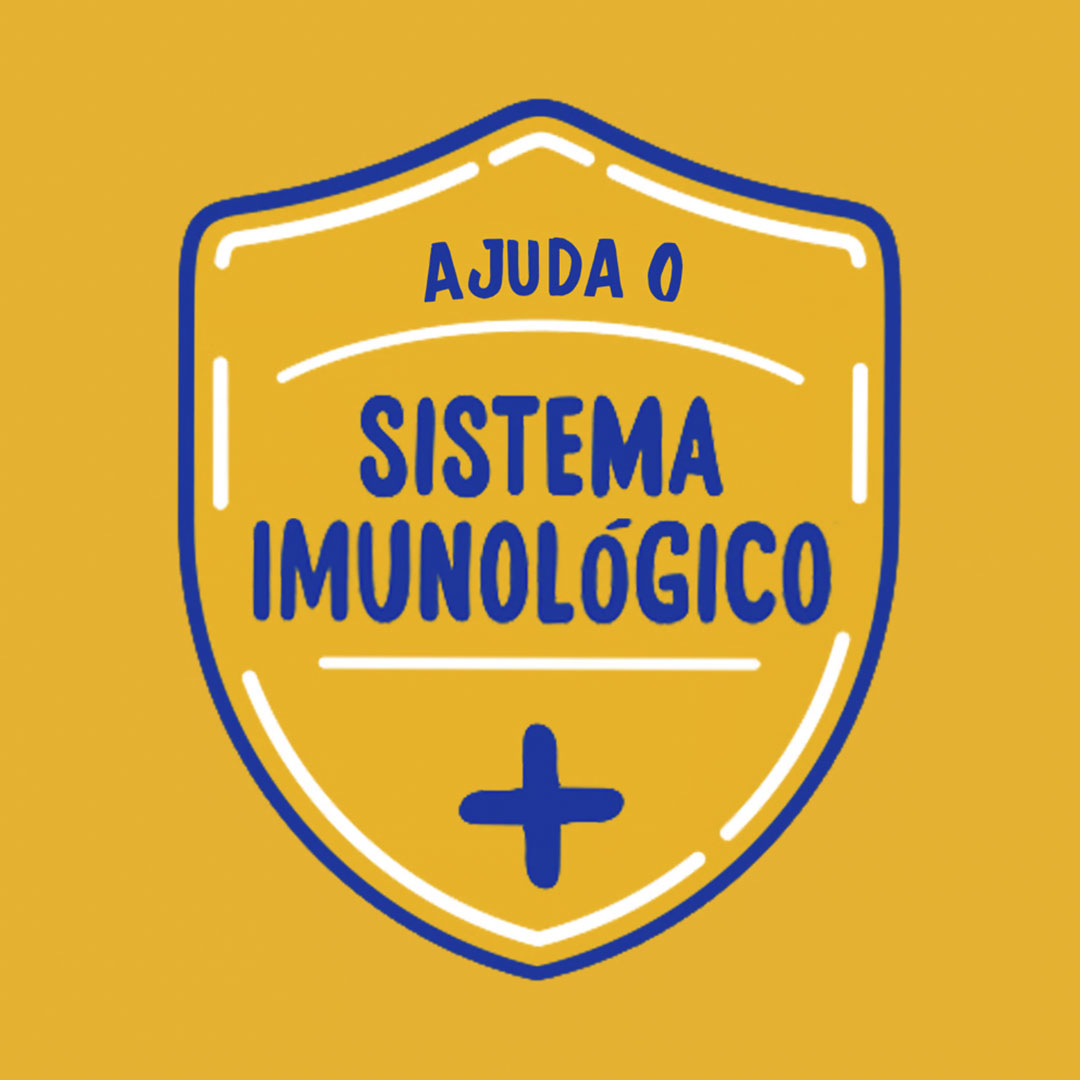 Ração Pedigree para Cães Adultos de Raças Médias e Grandes Sabor Carne e Vegetais 2,7Kg