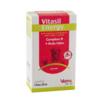 Vitasil Energy para Cães e Gatos 30ml Vansil