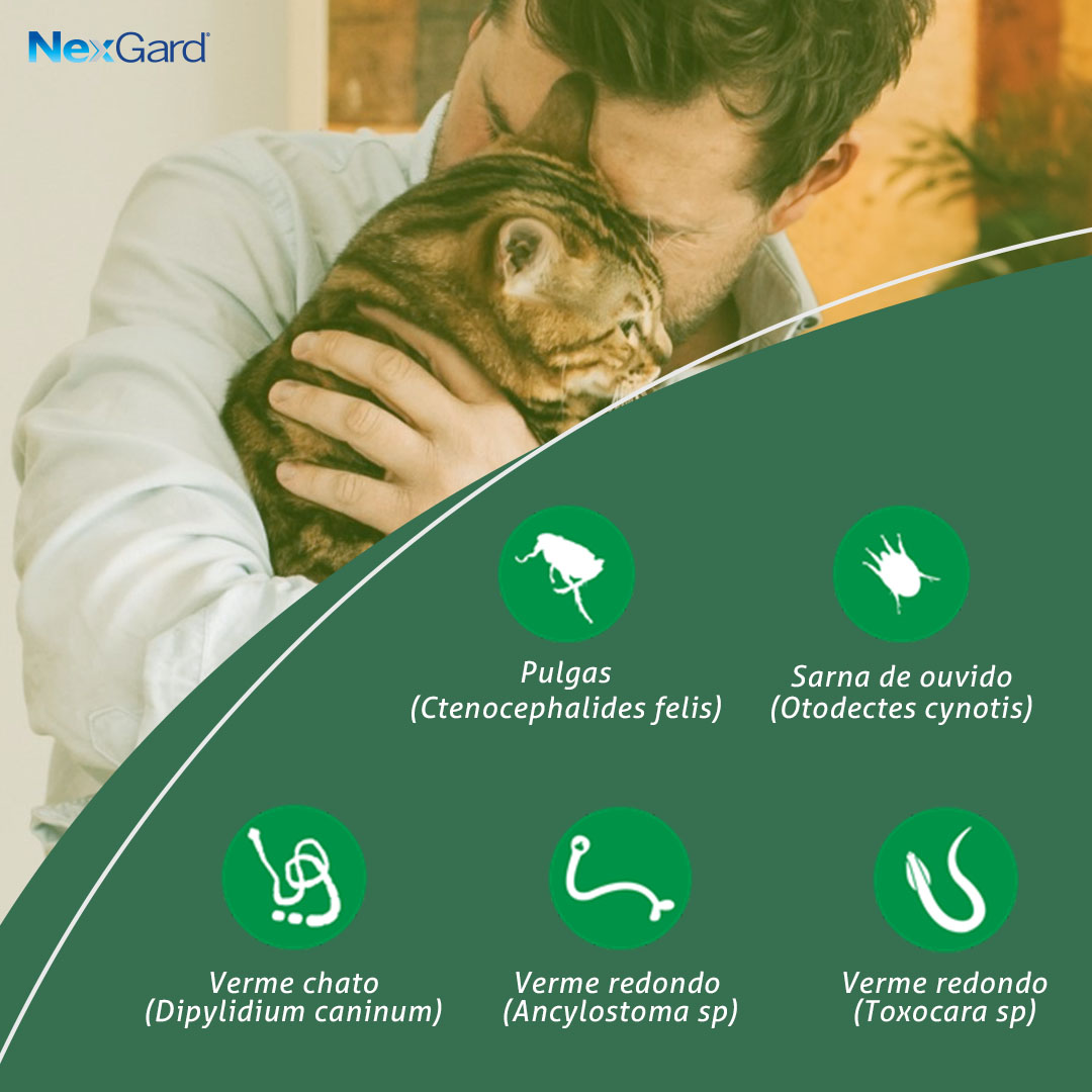 Nexgard Combo 0,3ml para Gatos Entre 0,8Kg e < 2,5Kg 1 Pipeta